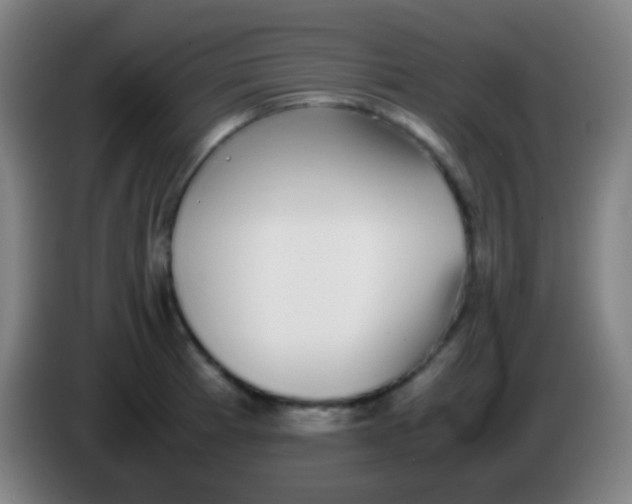 X0000085311185200703302016