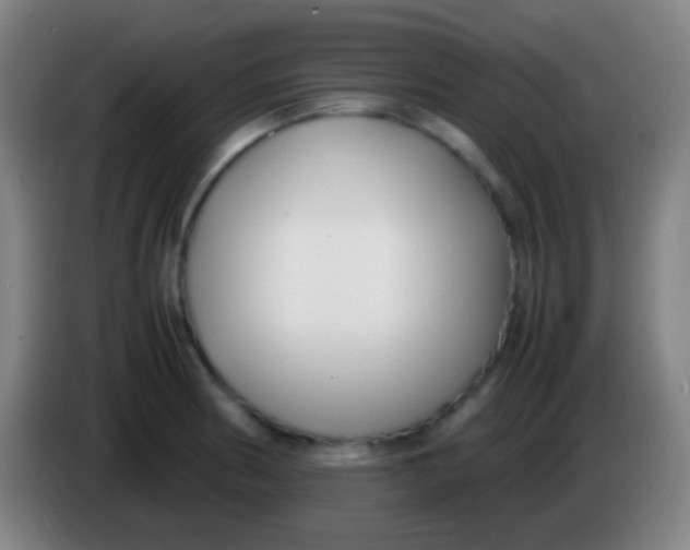 X0000085311186200703302016