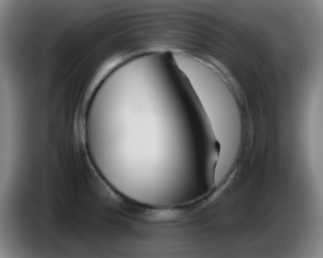 X0000085311188200703302016