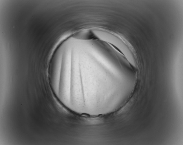 X0000085311189200703302016