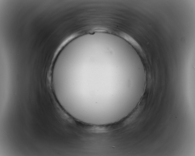 X0000085311190200703302016