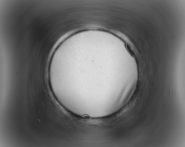 X0000085311191200703302016