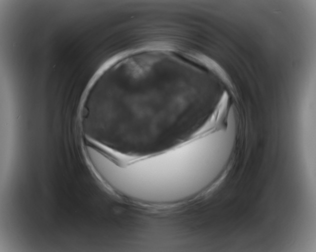 X0000085311192200703302016