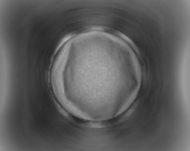 X0000085311194200703302016