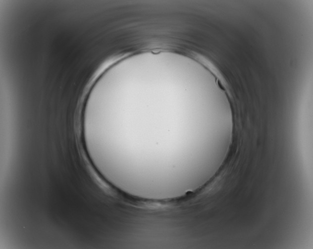 X0000085311195200703302016