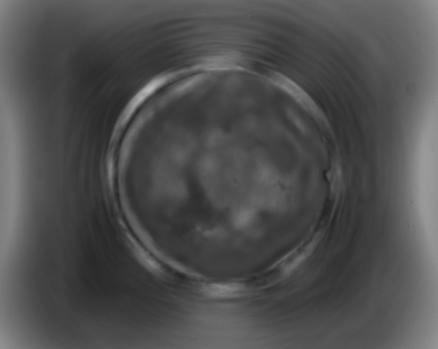 X0000085311196200703302016