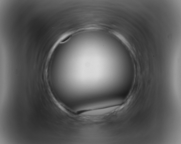 X0000085311197200703302016