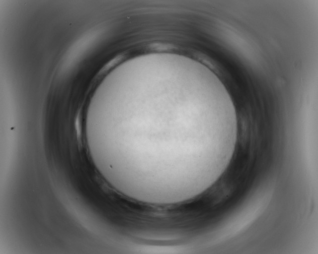 X0000085311198200703302016