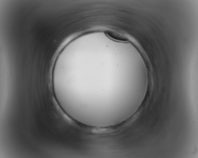 X0000085311199200703302016