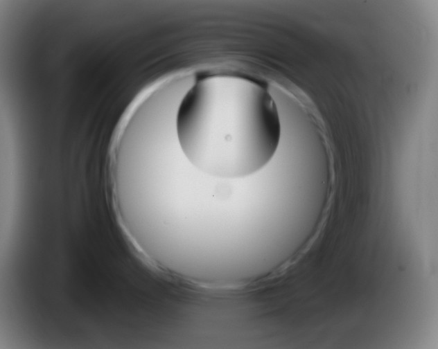 X0000085311200200703302016