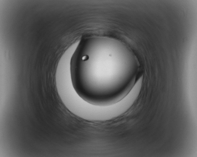 X0000085311202200703302015