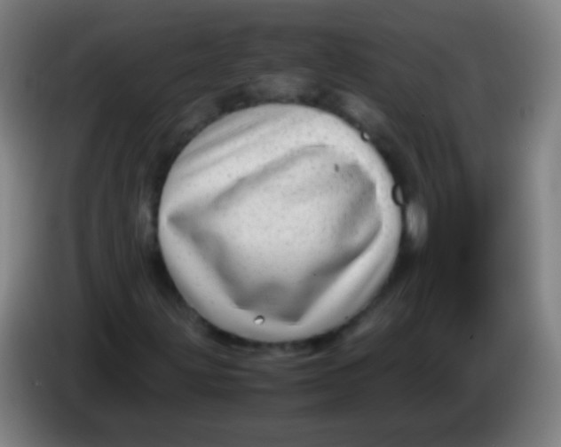 X0000085311203200703302015