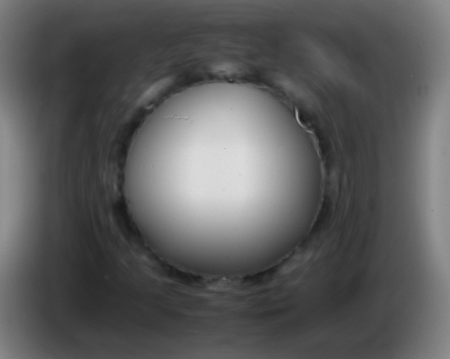 X0000085311205200703302015