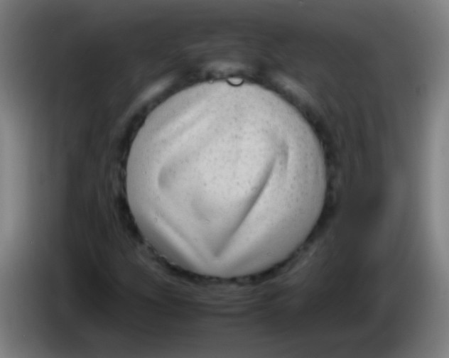 X0000085311207200703302015