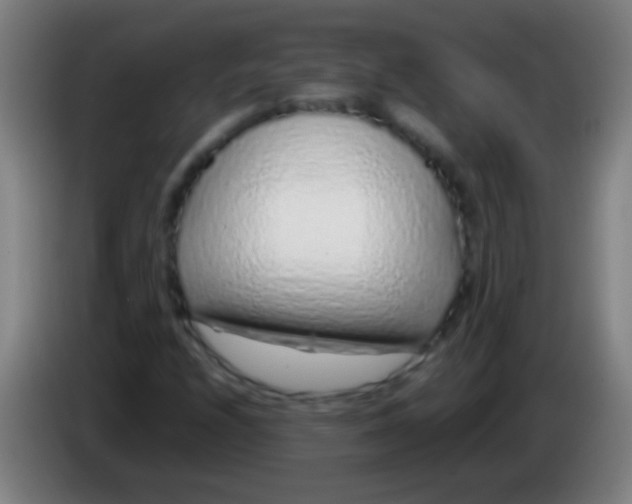 X0000085311208200703302015