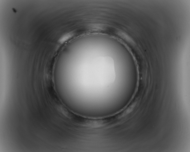 X0000085311210200703302015