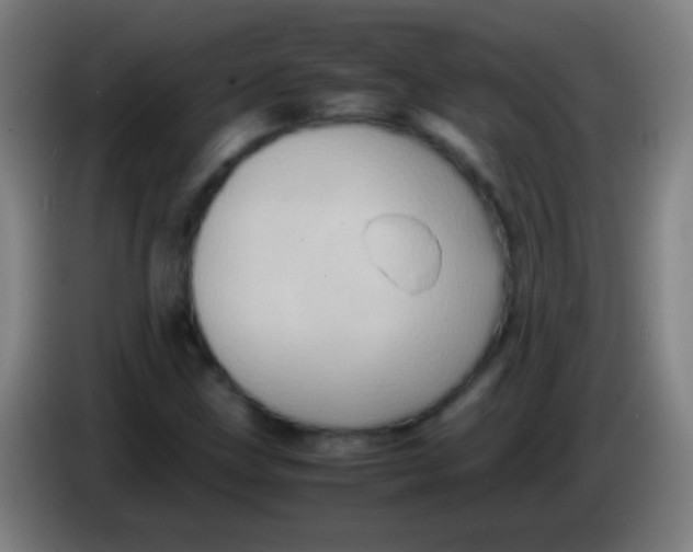 X0000085311211200703302015