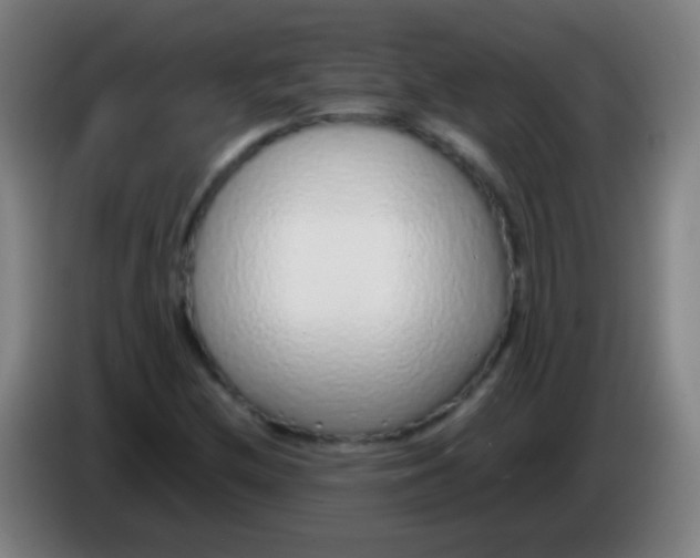 X0000085311212200703302015