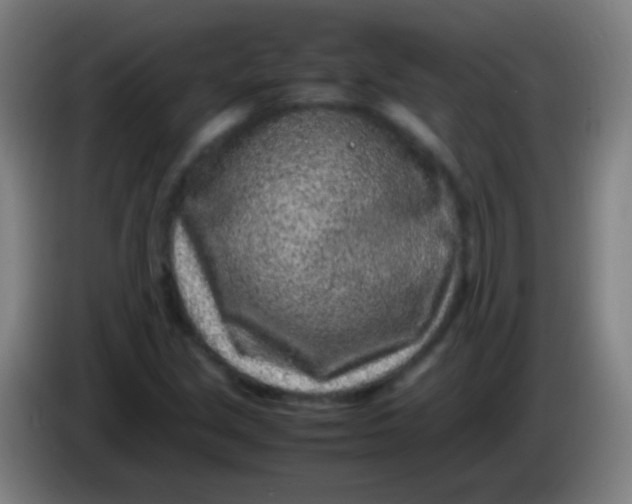 X0000085311213200703302015