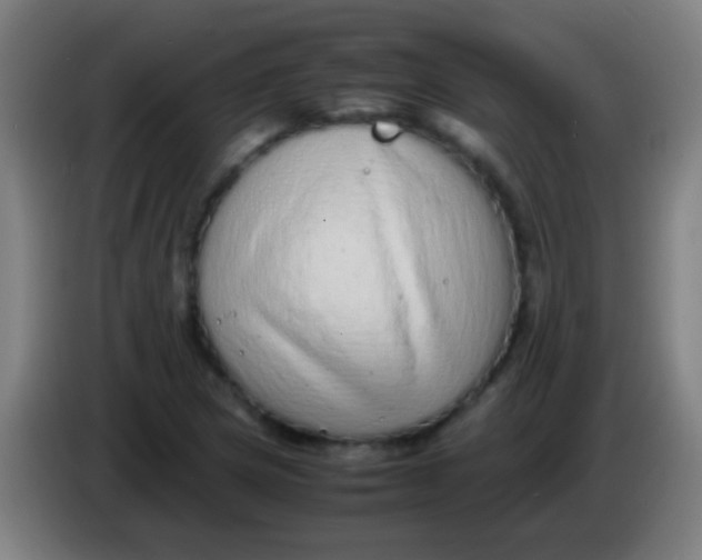 X0000085311217200703302015