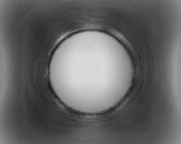 X0000085311220200703302015