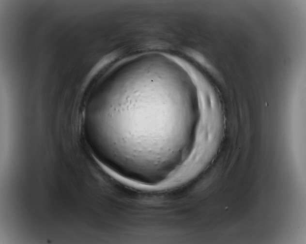 X0000085311221200703302015