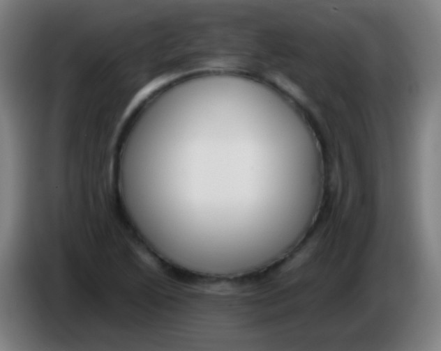 X0000085311222200703302015