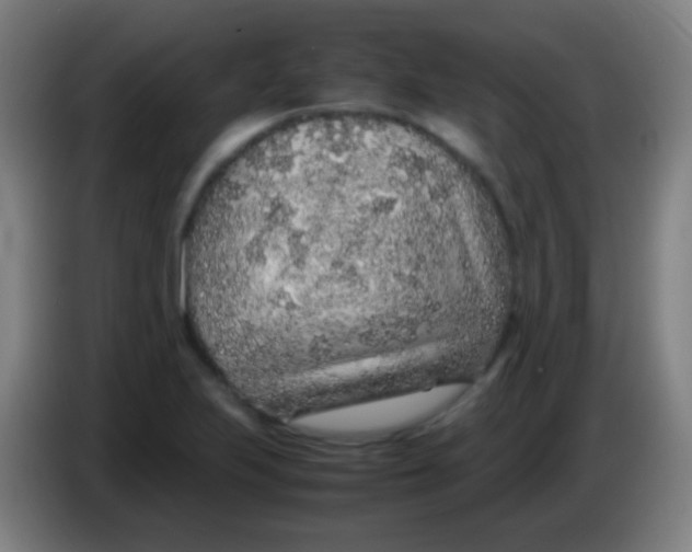 X0000085311223200703302015