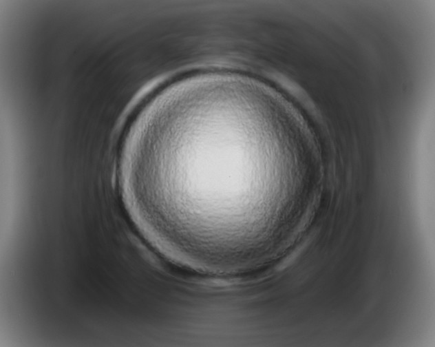 X0000085311224200703302015