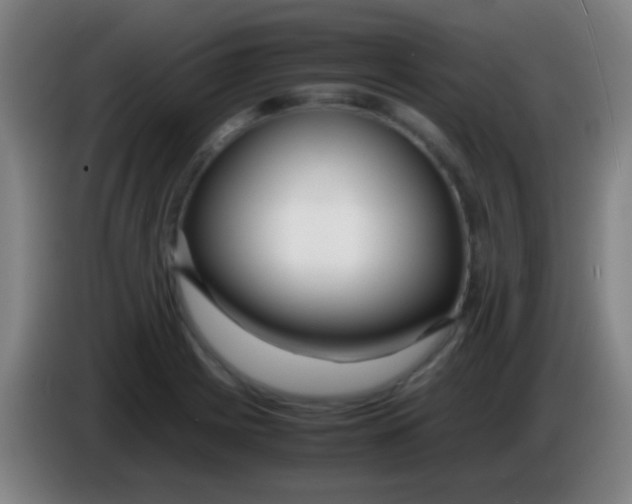 X0000085311225200703302015