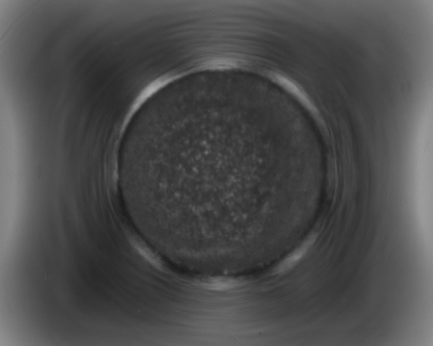 X0000085311226200703302015