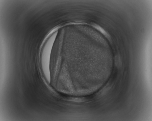 X0000085311229200703302015