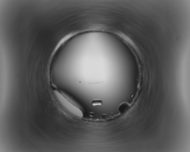 X0000085311230200703302015