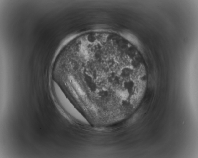 X0000085311231200703302015