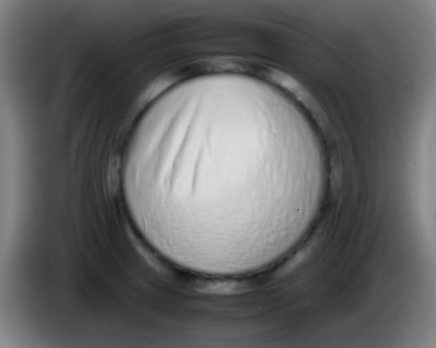 X0000085311233200703302015