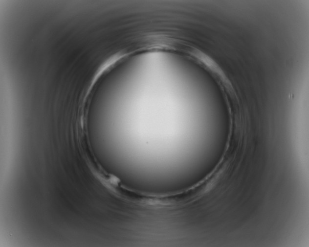 X0000085311234200703302015