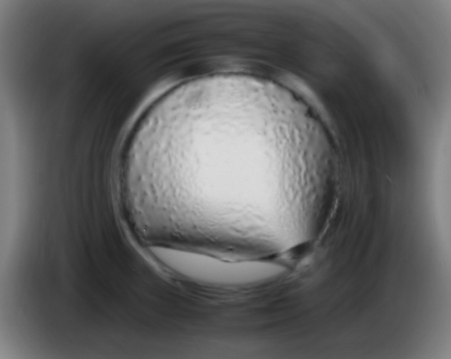 X0000085311235200703302015