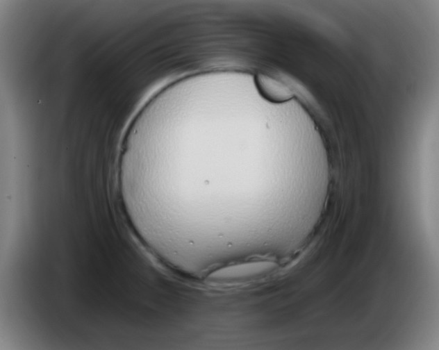 X0000085311236200703302015