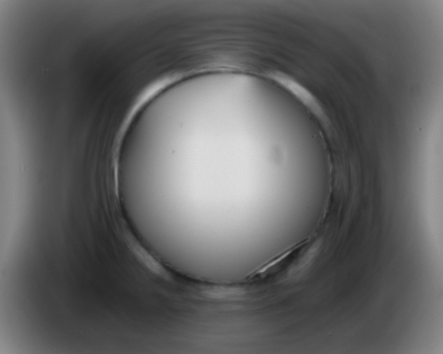 X0000085311238200703302015