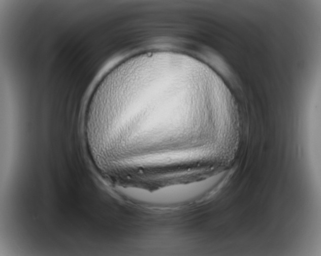 X0000085311240200703302015