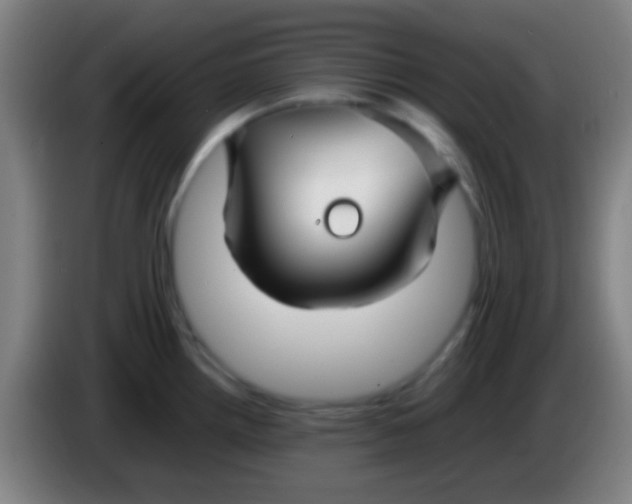 X0000085311242200703302016