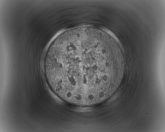 X0000085311243200703302016