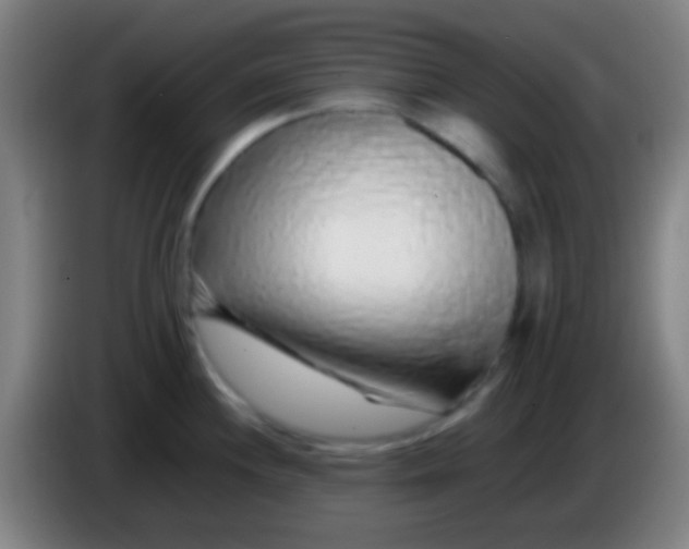 X0000085311244200703302016