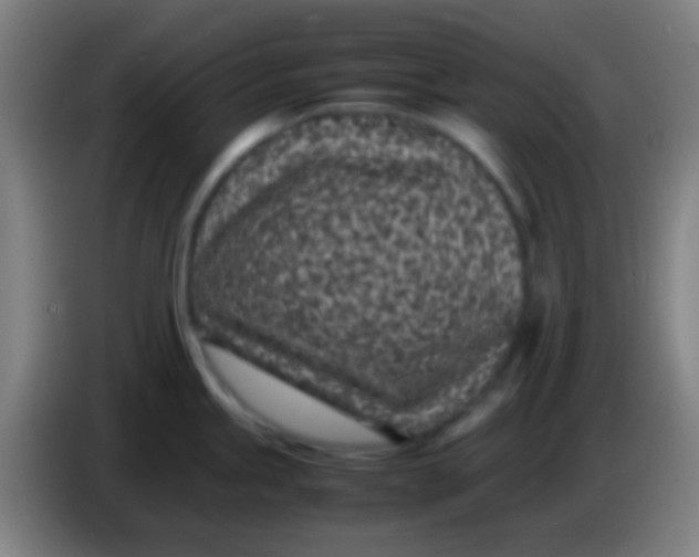 X0000085311245200703302016