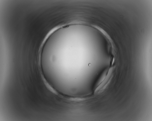 X0000085311246200703302016