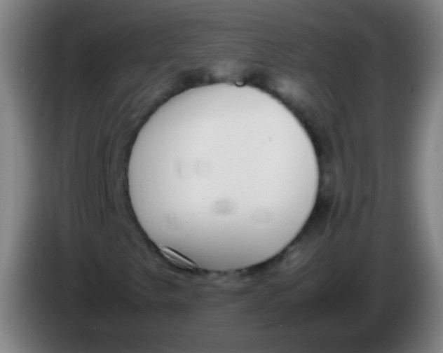 X0000085311249200703302015