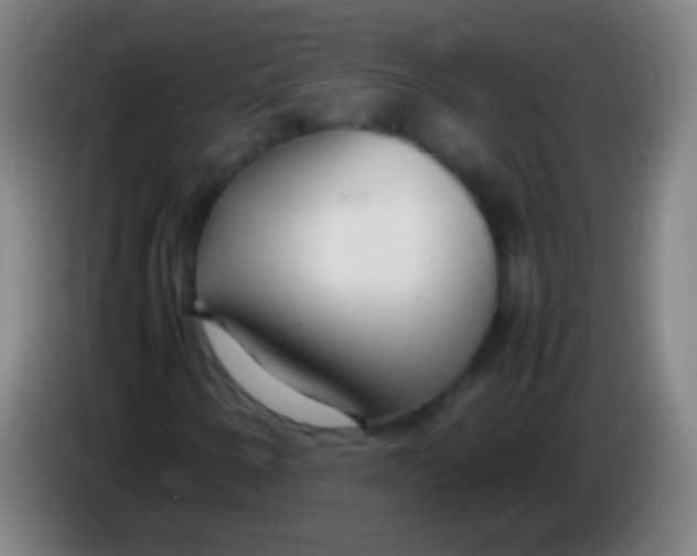 X0000085311250200703302015