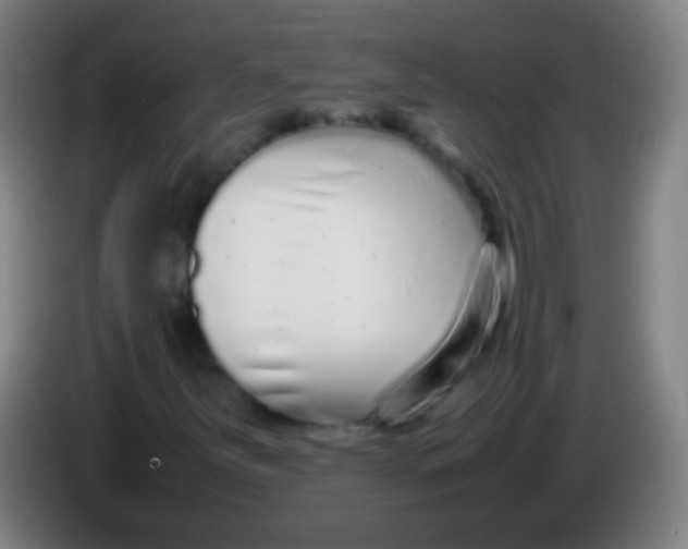 X0000085311251200703302015