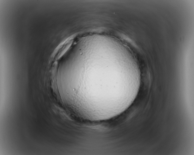 X0000085311256200703302015