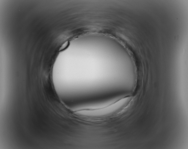 X0000085311257200703302015